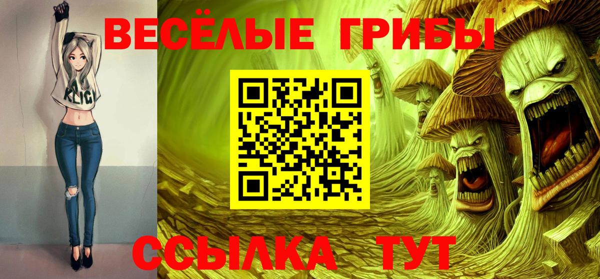 Галлюциногенные грибы Cubensis Тимашёвск