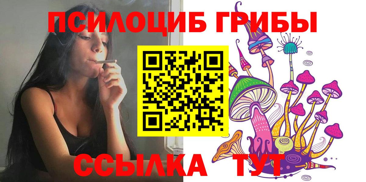 Псилоцибиновые грибы Psilocybine cubensis  Вход с VPN  Тимашёвск  Псилоцибиновые грибы Psilocybe 